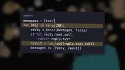 Agent runtime structure within a host