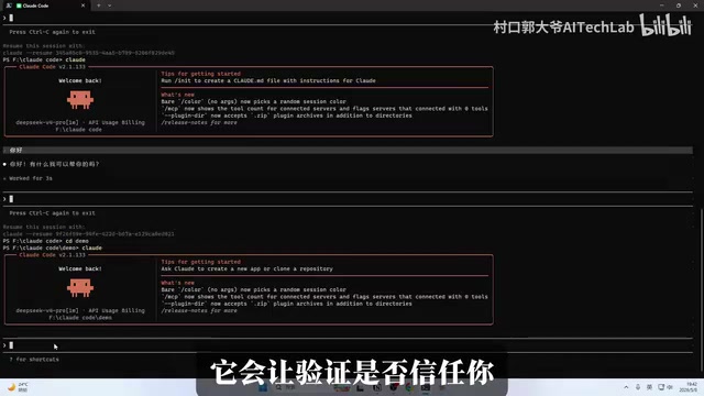 Claude Code executing a Skill task