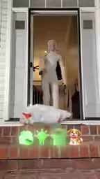 Blogger has the robot feed the dog treats