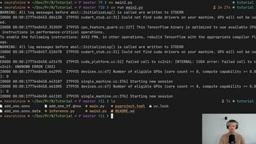 TensorFlow export to ONNX requires no dummy data