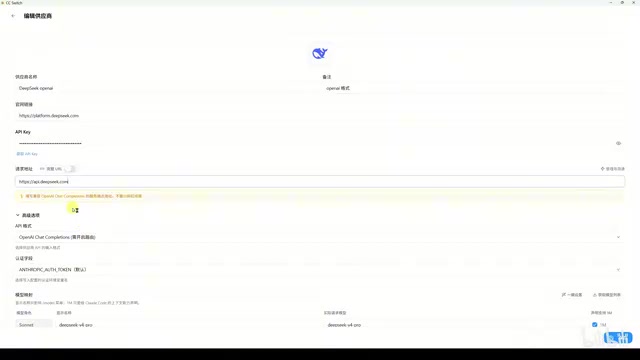CC Switch Interface