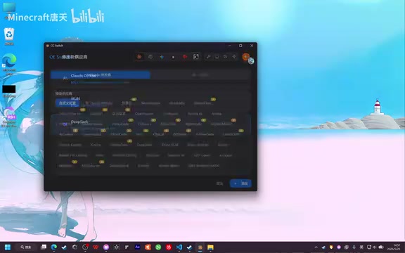 CC Switch Configuration Window