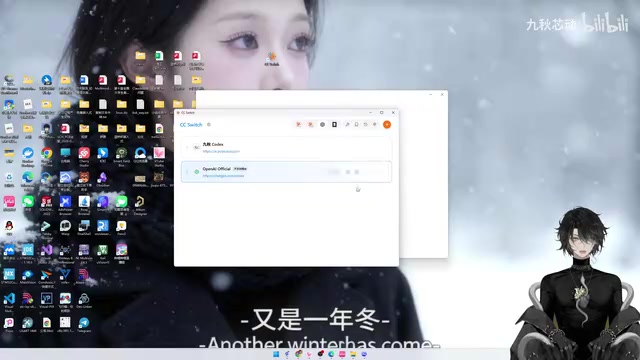 CCSwitch configuration interface