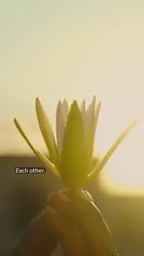 每张照片都成为连接的象征