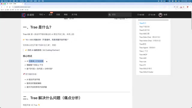 Trae IDE Interface