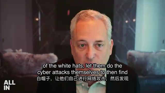  white hats, let them do the cyber attacks themselves to then find the vulnerabi