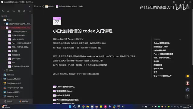 Using Codex via DeepSeek in a domestic environment