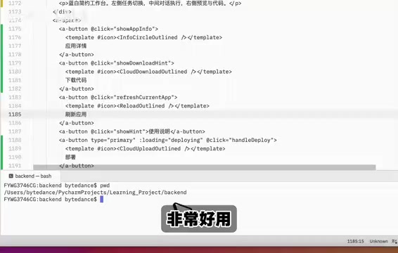 Codex自带编辑器界面