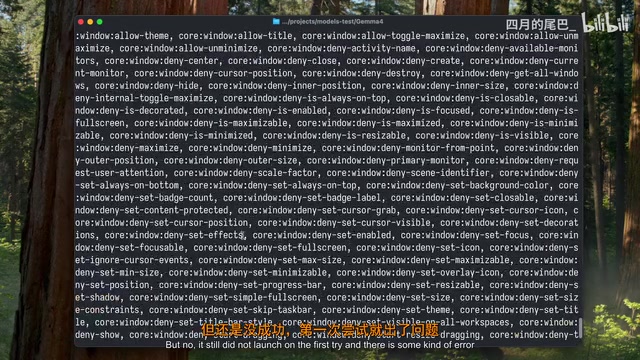Gemma 4 startup error