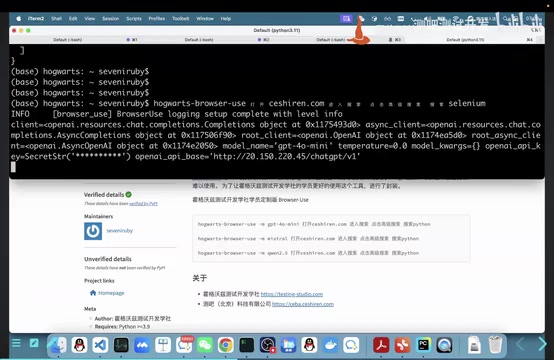 Browser Use Configuration and Execution