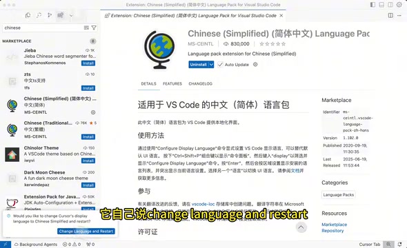 Installing Chinese Plugin