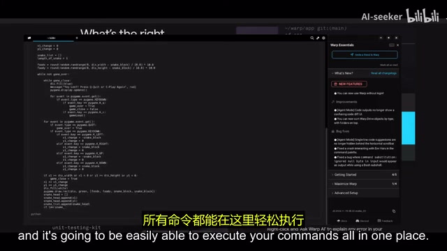 Warp Terminal Interface