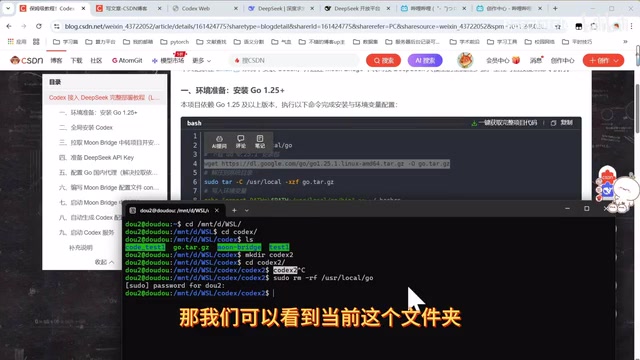 Complete Guide to Connecting Codex with DeepSeek: Stable Setup in China Without a VPN