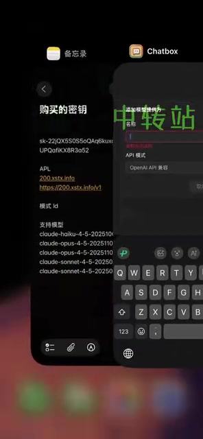 ChatBox model provider API mode selection interface