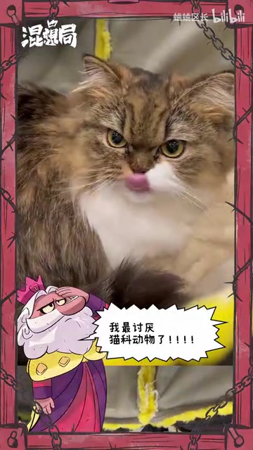 办公室里为什么会有这个