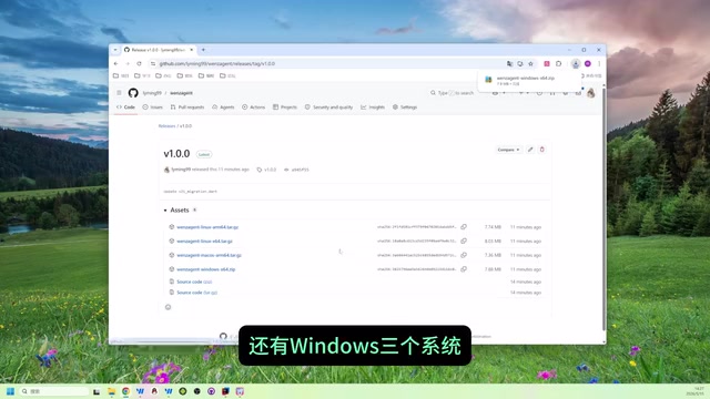 Download and environment preparation