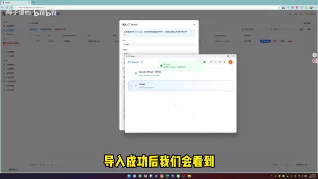 Imported API Information in CC Switch