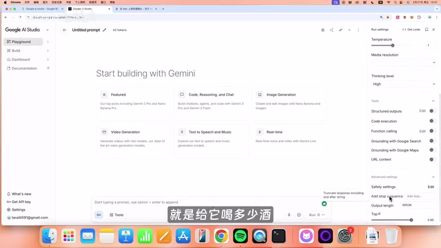Google AI Studio 参数调节面板