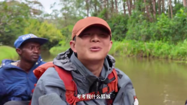 我们可以看到这只潘达利莫