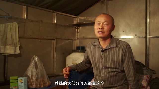 都靠给农作国授粉来获取报酬