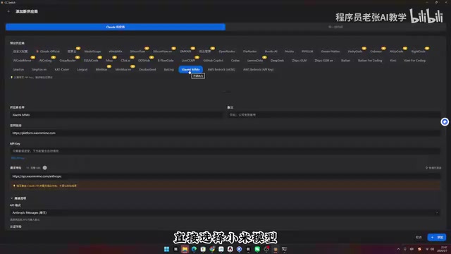 然后在这输入你的API key