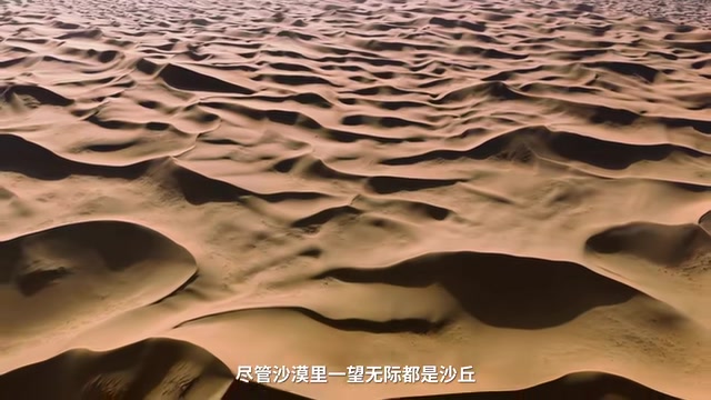 腾格里沙漠种了1800万棵树,然后发生了什么?