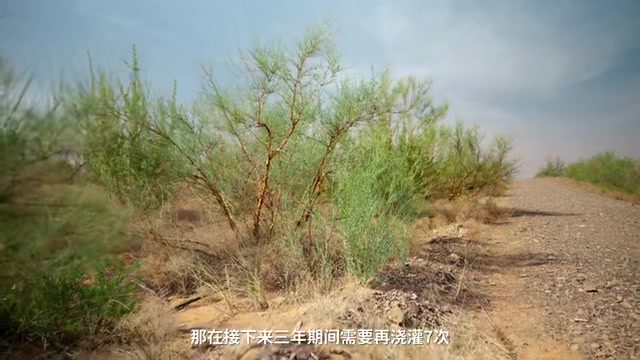 那么这样算上维护
