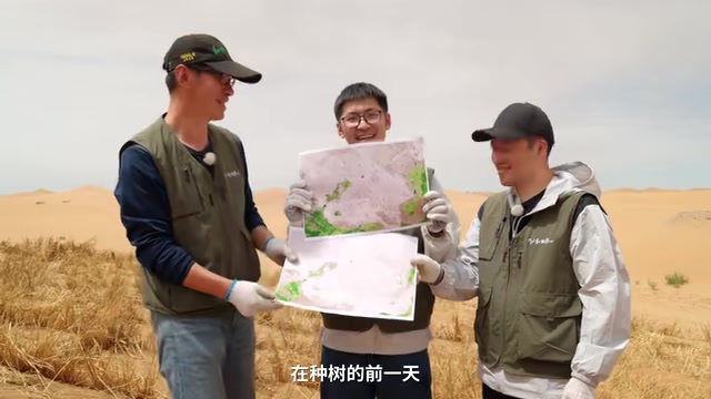 在种树的前一天