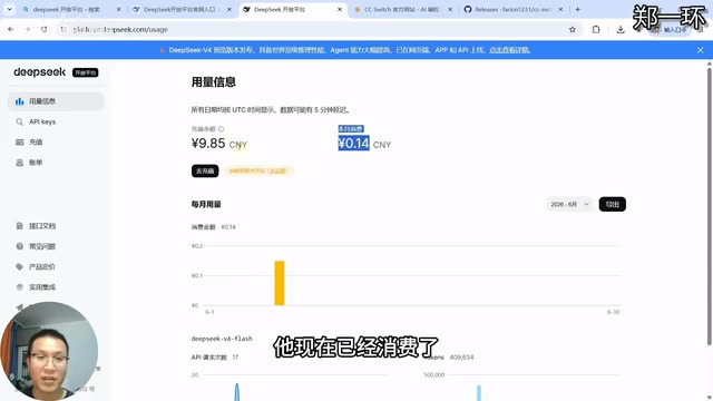 我们再来看一下我们的DeepSeq账单