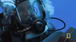 oh my word i mean the problem with seeing one shark is now i just want to see more