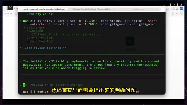 这就演示了我们这一个Review命令