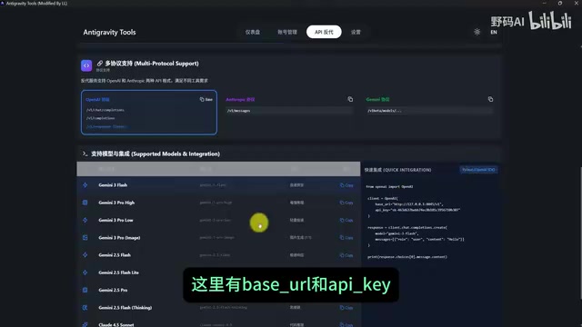 Base URL and API Key information in the API panel