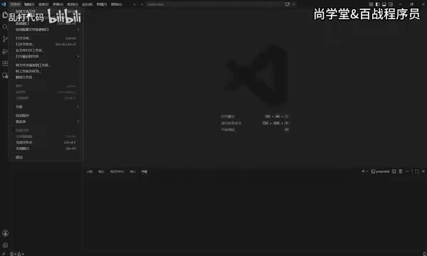 VS Code interface after installation