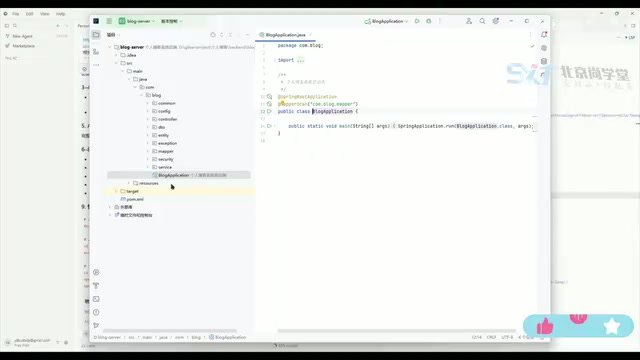 Starting the back-end project in IDEA