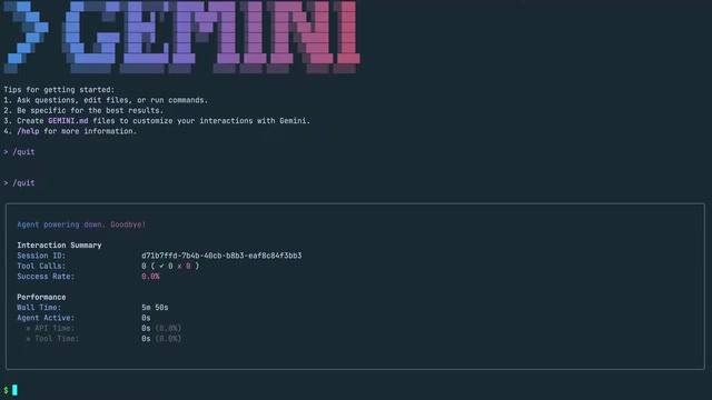 Gemini CLI Exit Statistics