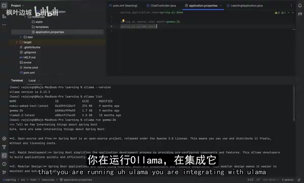 Ollama connection info in the configuration file