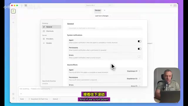 OpenCode的设置界面
