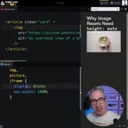 CSS Reset必加height: auto:防止图片响应式变形