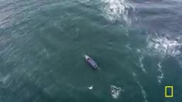 Underwater image of the shipwreck reconstructed from sonar data