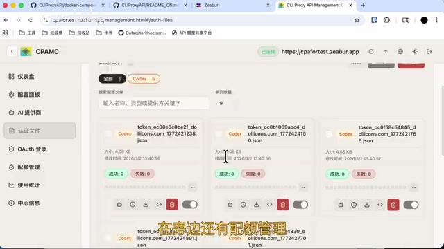 可以查看每一个Token当前使用情况