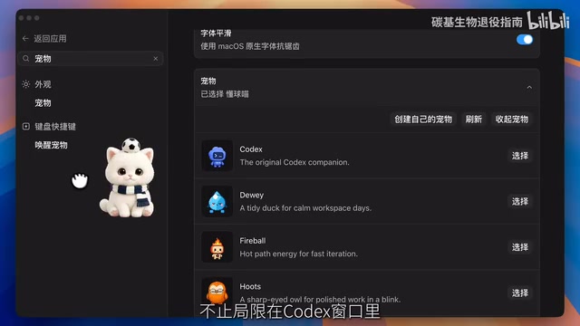 Codex Hands-On from Scratch: Building a Full-Stack World Cup App Without Writing Code