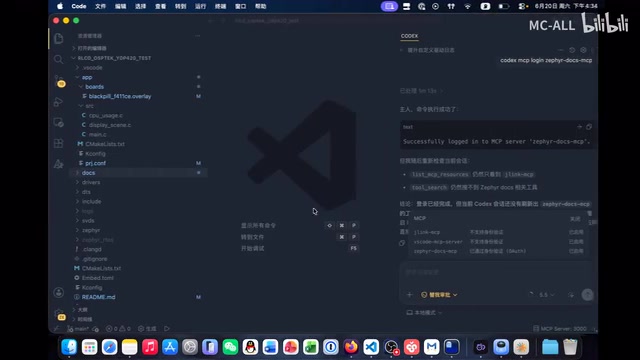 LSP Plugins in VS Code