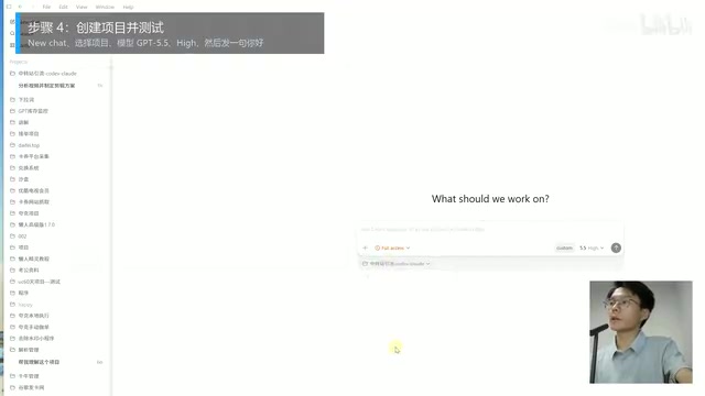 Codex Usage Interface