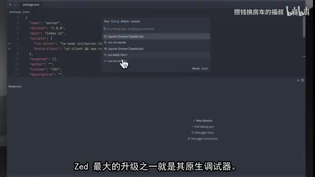 Zed Native Debugger