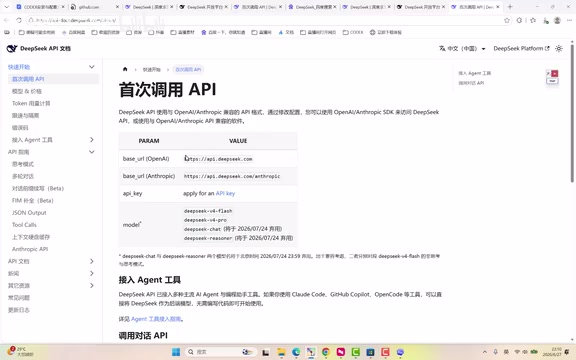 Copy and save API Key