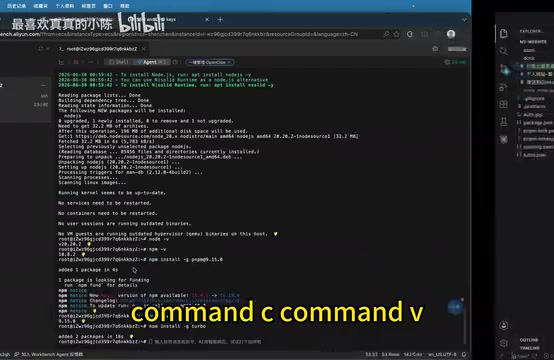 Verifying Node.js and related tool versions