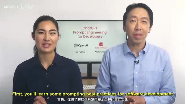 Andrew Ng's Prompt Engineering Course: How Developers Call LLMs via API