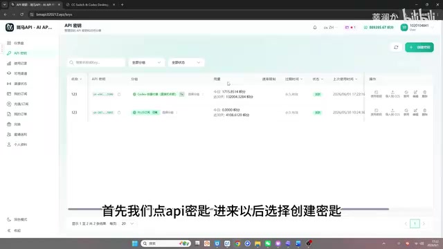API中转站接入Codex与Claude Code完整实操教程