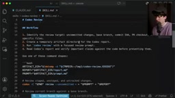 You run Codex review and give a focused review prompt