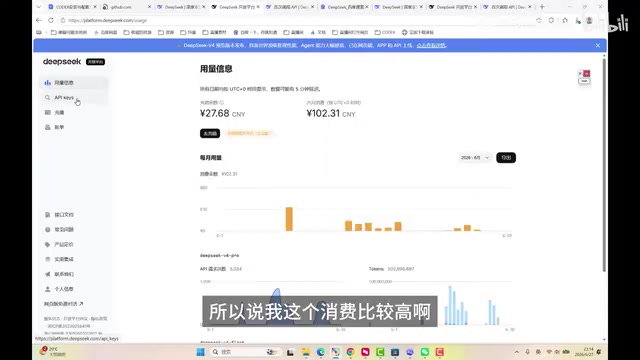 DeepSeek usage cost reference